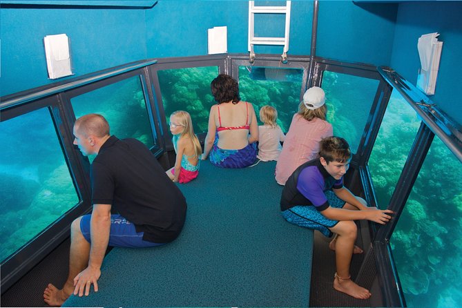 Full-Day Great Barrier Reef Pontoon with Snorkeling & Activities - What this Cairns reef day is really like