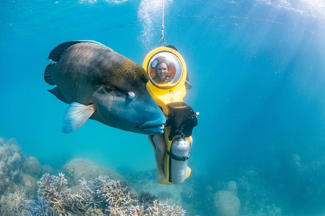 Full-Day Great Barrier Reef Pontoon with Snorkeling & Activities - Lunch, tea breaks, and onboard comfort