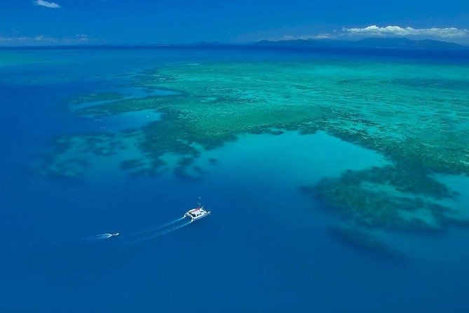 Full-Day Great Barrier Reef Sailing Trip from Cairns - Food, breaks, and the rhythm of the day