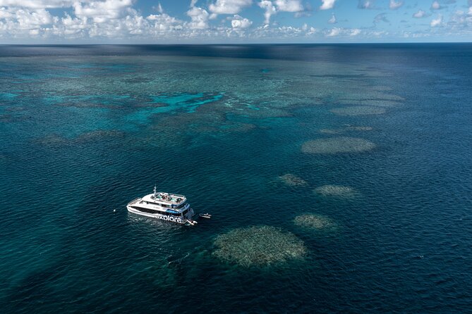 Full-Day Great Barrier Reef Snorkeling from Hamilton Island - Key points to know before booking
