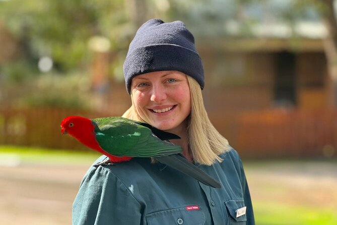 Full-Day Great Ocean Road and 12 Apostles Sunset Tour from Melbourne - Kennett River combines wildlife and a short break