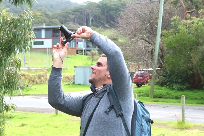 Full-Day Great Ocean Road and 12 Apostles Sunset Tour from Melbourne - Anglesea gives you the first coastal pause
