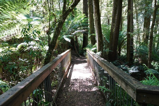 Full-Day Great Ocean Road and 12 Apostles Tour - Apollo Bay gives you 40 minutes for lunch