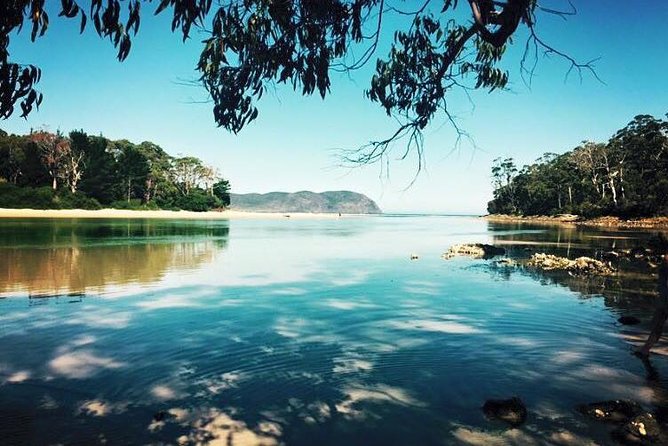 Full-Day Guided Bruny Island Tour from Hobart - Starting with oysters at Get Shucked