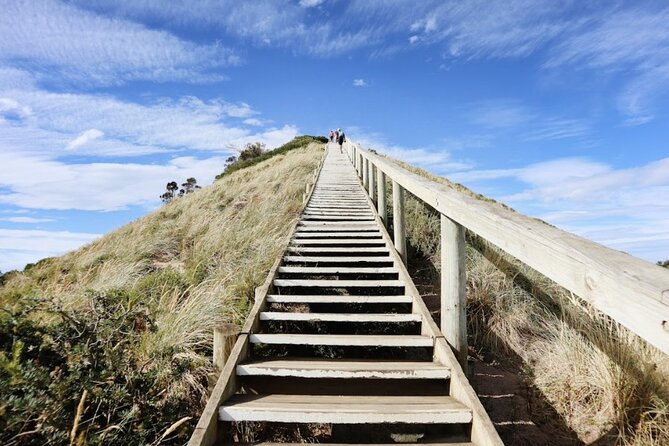 Full-Day Guided Bruny Island Tour from Hobart - Walking through Mavista rainforest
