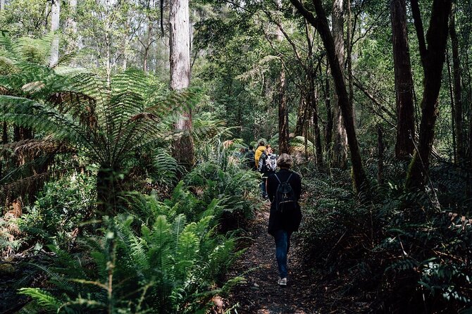 Full-Day Guided Bruny Island Tour from Hobart - Cape Bruny Lighthouse without the full tour