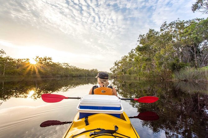 Full-Day Guided Noosa Everglades Kayak Tour - Five details that shape the experience