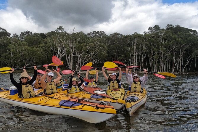 Full-Day Guided Noosa Everglades Kayak Tour - Why the Noosa Everglades are worth your morning