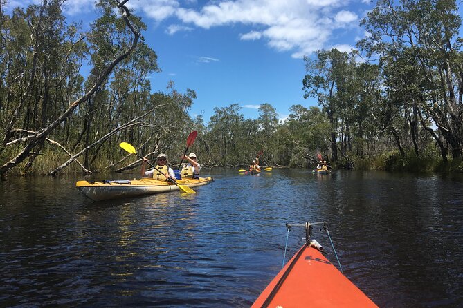 Full-Day Guided Noosa Everglades Kayak Tour - Lake Cootharaba and the changing water views