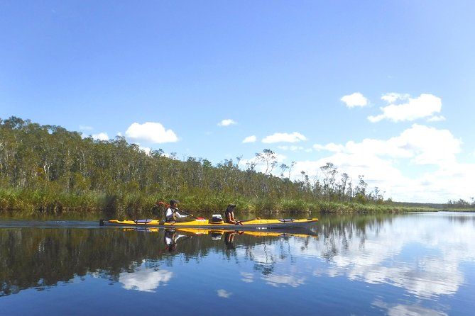 Full-Day Guided Noosa Everglades Kayak Tour - Lake of Lillies and Fig Tree Lake