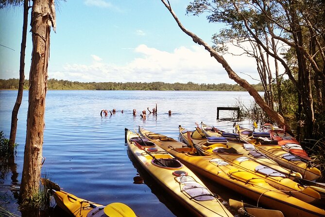 Full-Day Guided Noosa Everglades Kayak Tour - The swim stop and waterfront lunch