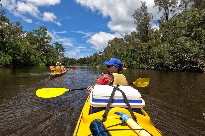 Full-Day Guided Noosa Everglades Kayak Tour - Is $149.90 good value?
