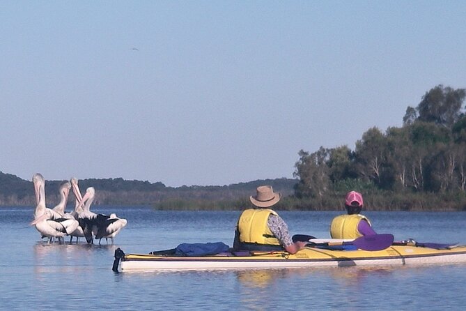 Full-Day Guided Noosa Everglades Kayak Tour - The first paddle on the Upper Noosa River