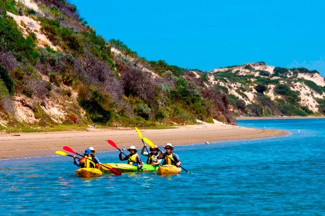 Full Day Kayaking Tour in Coorong National Park - Five reasons this Coorong paddle is worth considering