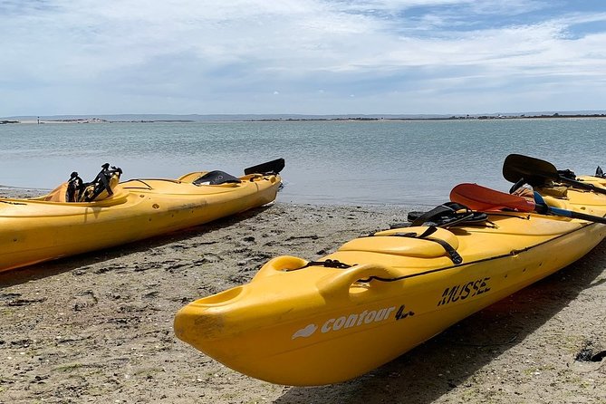 Full Day Kayaking Tour in Coorong National Park - The Murray Mouth and its wider story