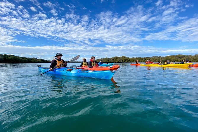 Full Day Kayaking Tour in Coorong National Park - Is $39 good value?