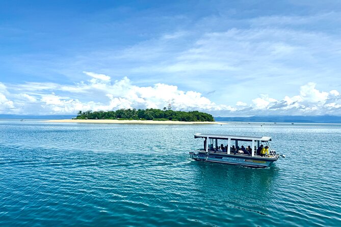 Full Day Low Isles Sailing & Snorkelling Cruise from Port Douglas - How Good Is The $243.86 Value?