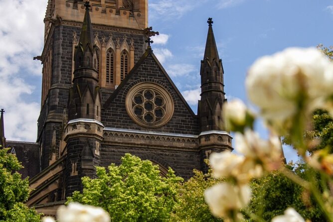 Full-day Melbourne City Sightseeing with Penguin Parade - The Penguin Parade is the main event
