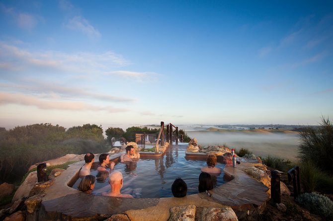 Full-Day Penguins and Wildlife Nature Experience from Melbourne - Timing, transport, and the price of the day