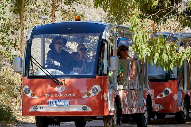 Full-Day Penguins and Wildlife Nature Experience from Melbourne - The guides shape the experience