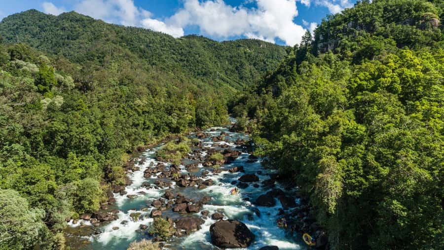Full Day White Water Rafting From Cairns or Mission Beach - Dinner, photographs, and the end of the day