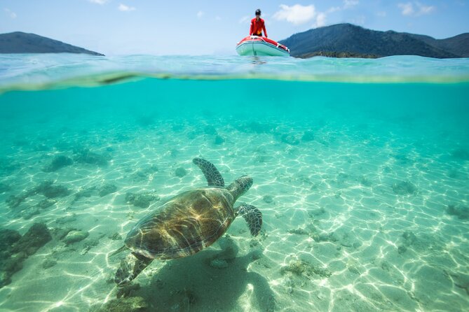 Full-Day Whitsunday Sail and Snorkel Adventure with Lunch - The crew makes a big difference