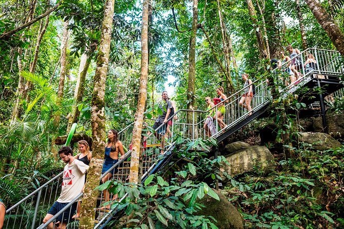 Fun, Falls and Forests Day Trip from Cairns - Millaa Millaa Falls: the classic waterfall stop