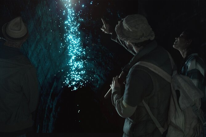 Glow-worms, Waterfalls & Rainforest Experience - Five things to know before you book