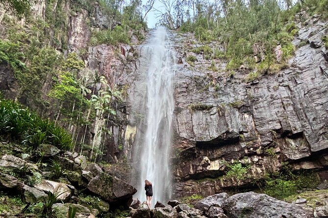 Glow-worms, Waterfalls & Rainforest Experience - Lookouts over the Byron Bay hinterland