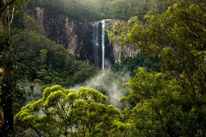 Glow-worms, Waterfalls & Rainforest Experience - Walking into the glow-worm darkness