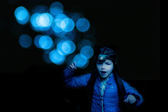 Glow-worms, Waterfalls & Rainforest Experience - The guides make the forest easier to understand