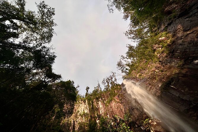 Glow-worms, Waterfalls & Rainforest Experience - Is $99.70 good value?