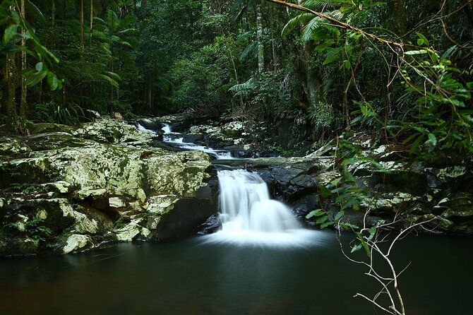 Glow-worms, Waterfalls & Rainforest Experience - Who will enjoy this six-hour outing?
