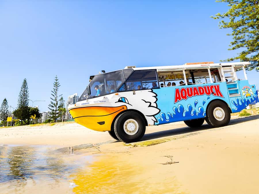 Gold Coast: 1-Hour Land and Water Duck Tour - What the $41 Aquaduck tour actually offers