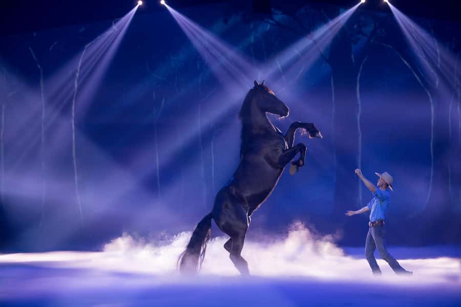 Gold Coast: Australian Outback Spectacular Dinner & Show - What the $84 ticket really buys you