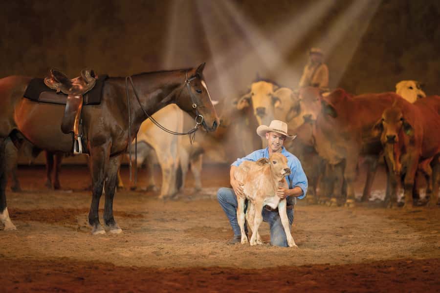 Gold Coast: Australian Outback Spectacular Dinner & Show - Horses, riders, and animal stars