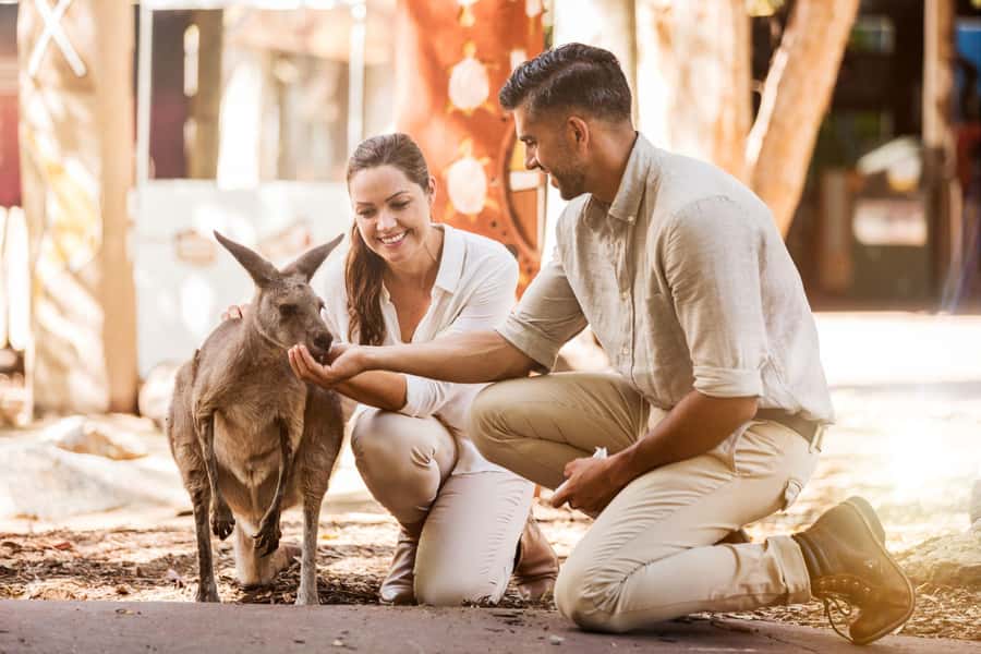 Gold Coast: Dreamworld 1-Day Entry Ticket - What Your $61 Dreamworld Ticket Covers