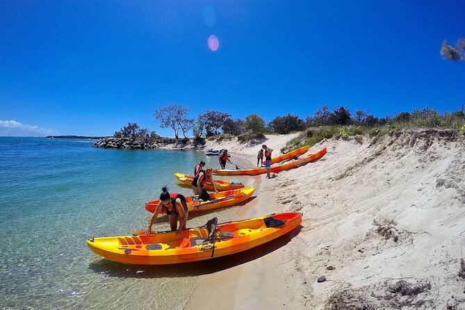 Gold Coast Kayaking & Snorkelling Tour (2.5 Hours) - Is $63.91 good value?