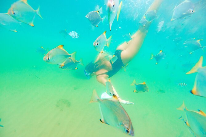 Gold Coast: Morning Kayak & Snorkel Adventure with Breakfast - Why this Gold Coast tour is worth considering