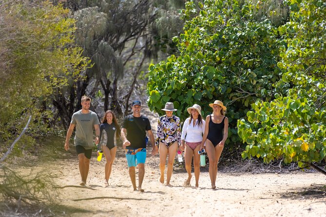 Gold Coast: Morning Kayak & Snorkel Adventure with Breakfast - South Stradbroke Island and its wallabies