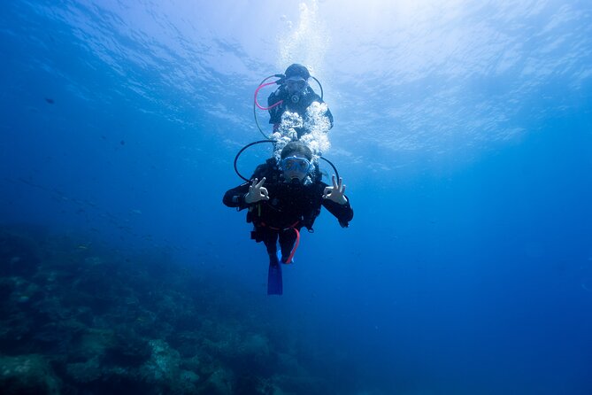 Gold Coast: Morning Kayak & Snorkel Adventure with Breakfast - How hard is the paddling?