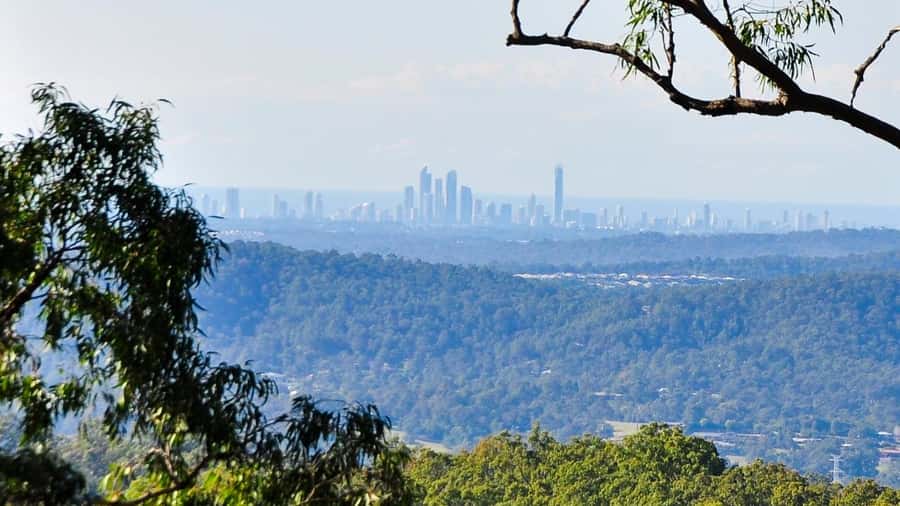 Gold Coast: Mount Tamborine Kangaroo and Koala Day Tour - Gallery Walk and Mount Tamborine’s local shops