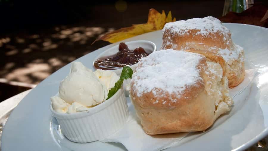 Gold Coast: Mount Tamborine Kangaroo and Koala Day Tour - Why the guides matter so much