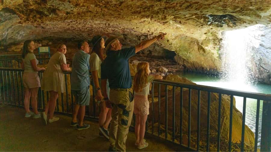Gold Coast: Natural Bridge & Springbrook Waterfalls Tour - Wildlife is possible, not promised