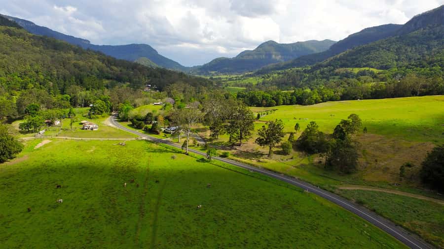 Gold Coast: Natural Bridge & Springbrook Waterfalls Tour - Guides make the difference