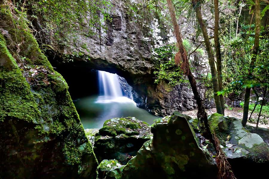 Gold Coast: Natural Bridge & Springbrook Waterfalls Tour - Weather, timing, and practical planning