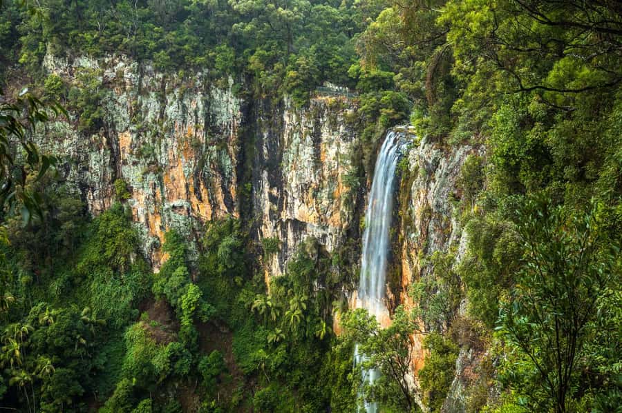 Gold Coast: Natural Bridge & Springbrook Waterfalls Tour - A short break at Hinze Dam