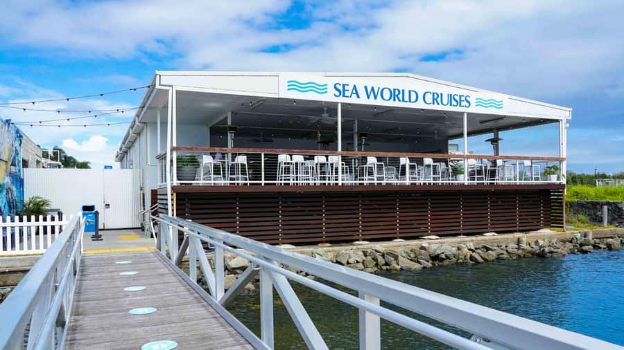 Gold Coast: Premium Whale Watching Cruise - The onboard facilities and the view from the water