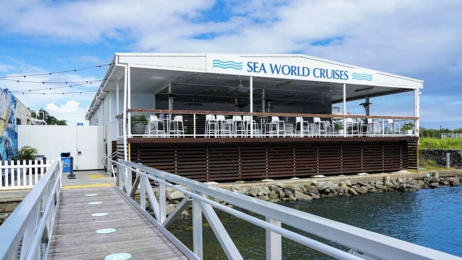 Gold Coast: Premium Whale Watching Cruise - Sea conditions, clothing, and seasickness