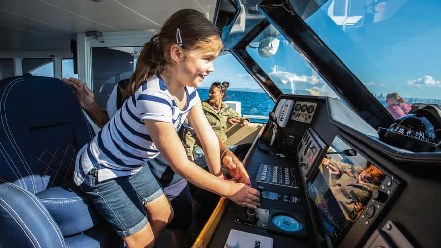 Gold Coast: Premium Whale Watching Cruise - How the season changes the experience